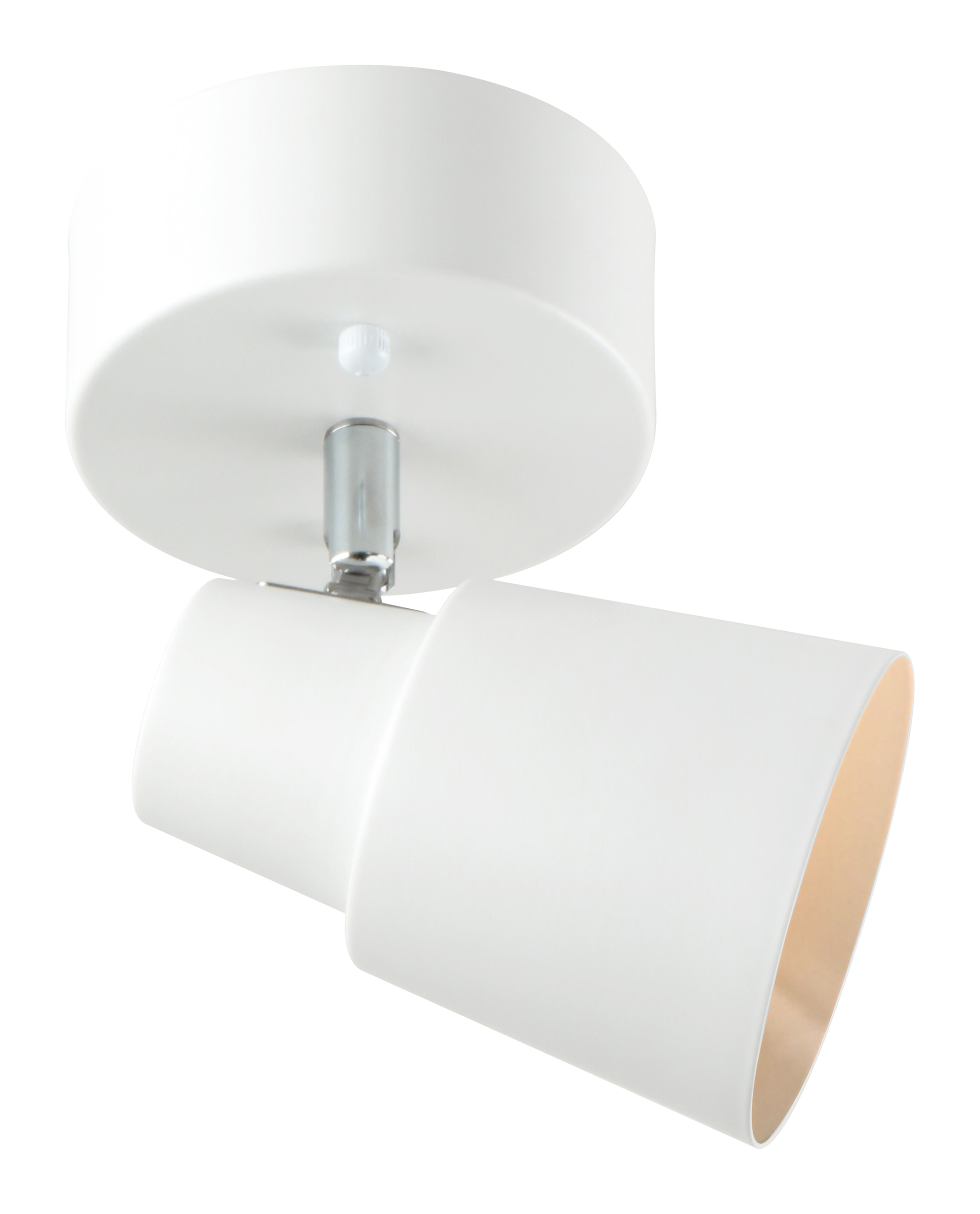 Ceiling lamp FocusLight Milo 1-light white